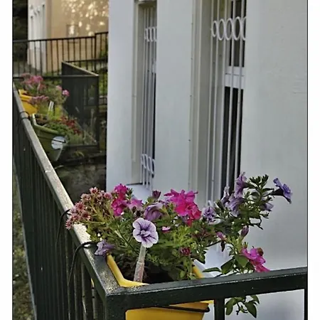 Bayer Apartmán *