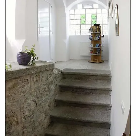 Bayer Apartmán *