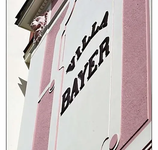 Bayer Κάρλοβι Βάρι